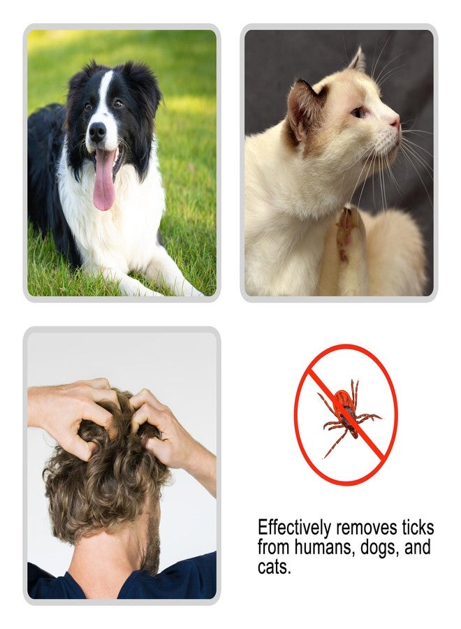Quacc 3 PCS Tick Remover Tool, Plastic Painlessly Tick Remover Portable for Dogs Cats Humans (Green) - Image 4